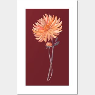 Coral Dahlia Sprig Bud Posters and Art